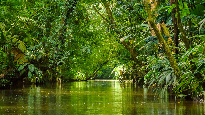 Canali del Parco Nazionale Tortuguero, Costa Rica