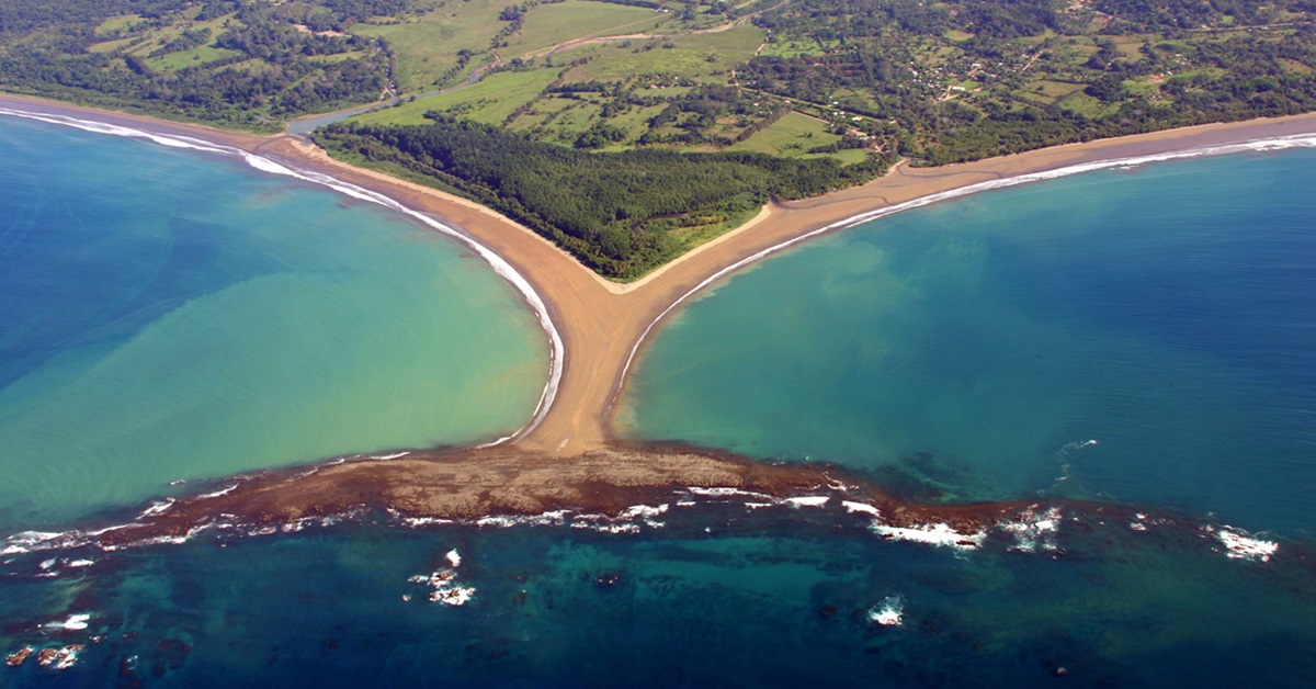 Costa Ballena: seguendo le Balene